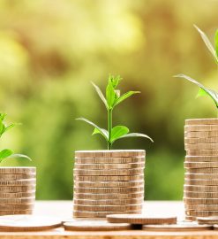 Conseiller Patrimonial : Comment Se Préparer à la Retraite ?