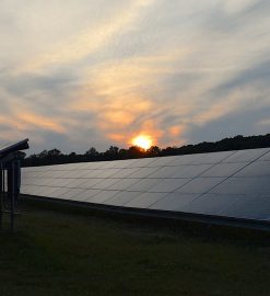 Comment valoriser vos locaux professionnels avec des panneaux solaires ?