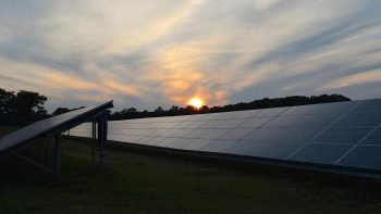 Comment valoriser vos locaux professionnels avec des panneaux solaires ?
