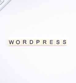 Sécurité et optimisation d’un site WordPress grâce à la maintenance