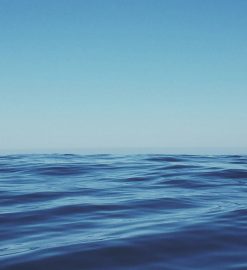 Comment fonctionne la purification de l’eau de mer ?